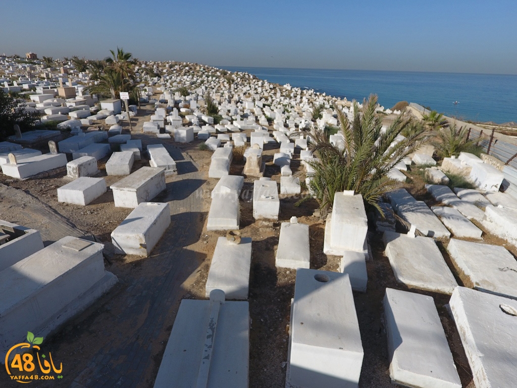 kazakhananna (9).jpg